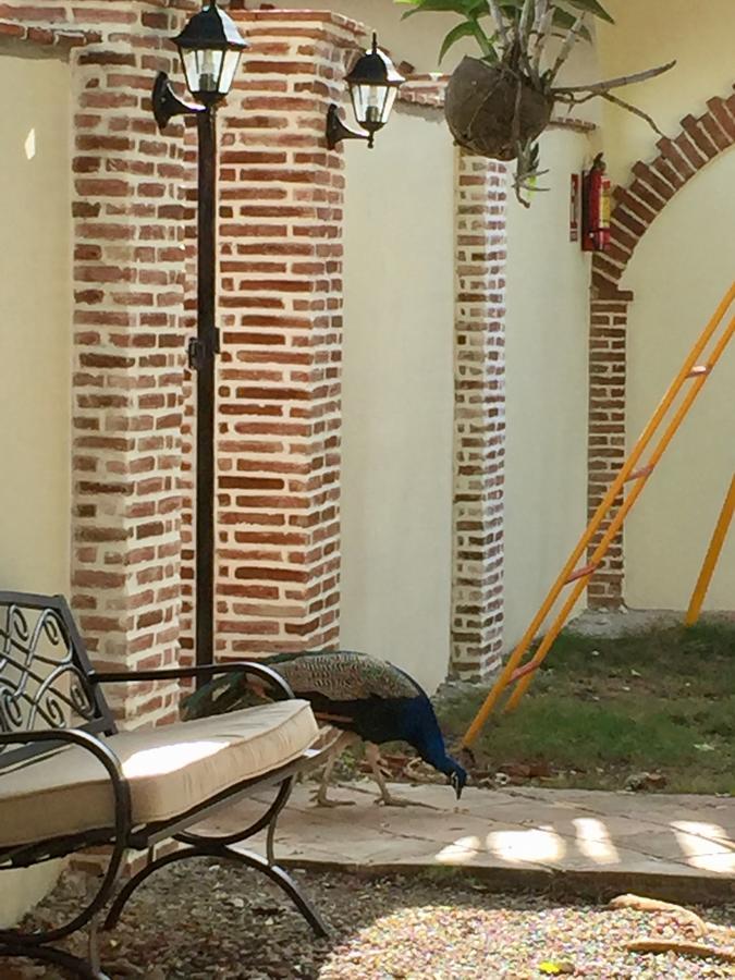Hotel Yamili Punta Cana Eksteriør bilde
